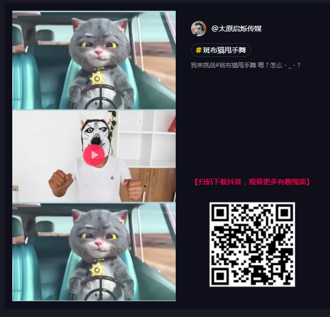 抖音斑步猫